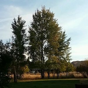 Meet your Posher, Lydia